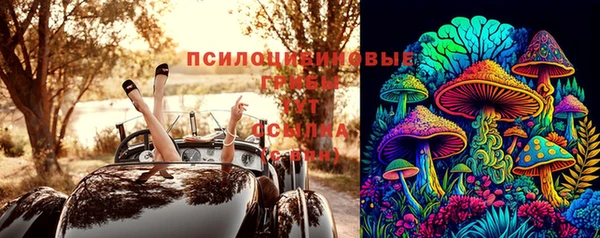скорость Алексин