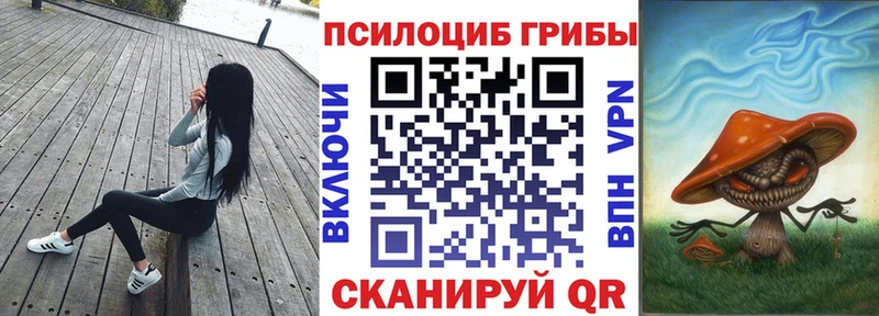 omg сайт  Ладушкин  Псилоцибиновые грибы мицелий 